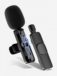 Микрофон беспроводной для смартфона Type-C Орбита OT-SML02